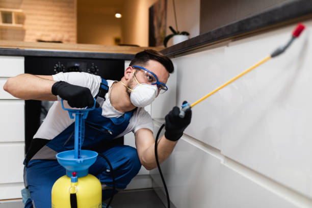 Trusted Bristol, CT Pest Control Experts