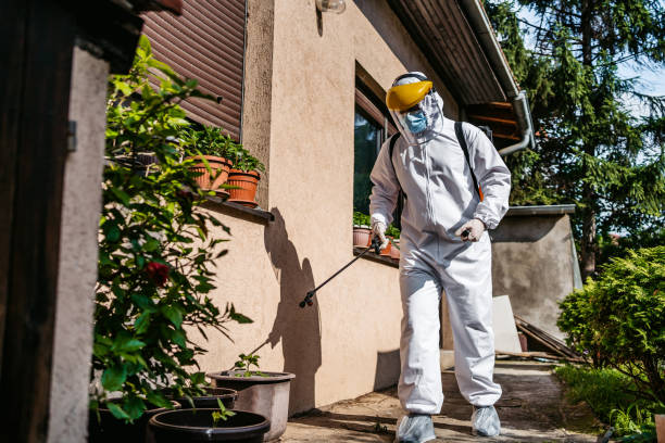 Best Bed Bug Extermination  in Bristol, CT