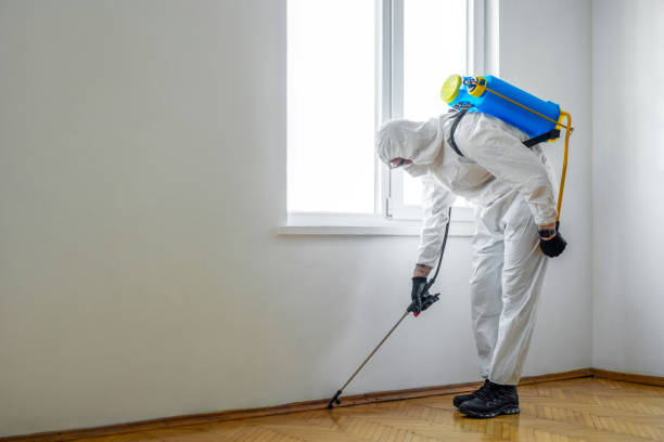 Best Termite Control Services  in Bristol, CT