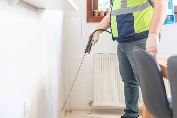 Best Ant Control Services  in Bristol, CT