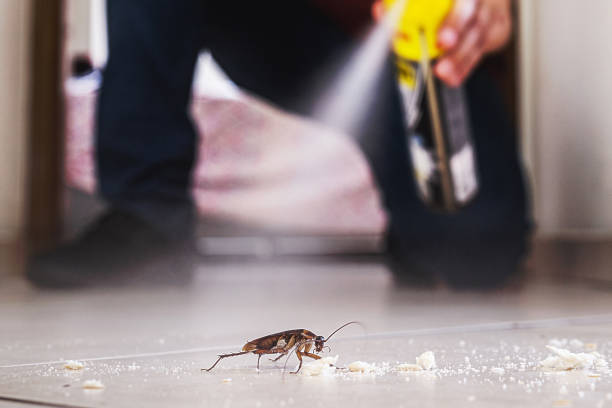 Pest Prevention Services in Bristol, CT